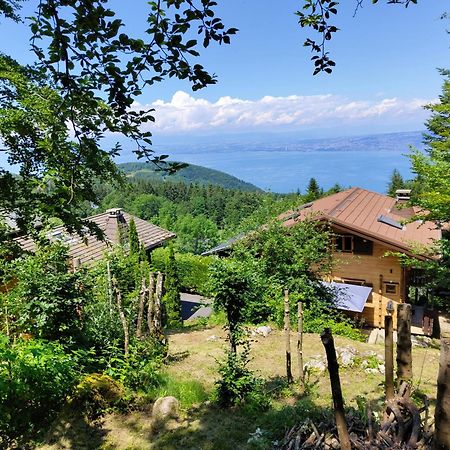 Chalet La Trouvaille تولو المظهر الخارجي الصورة